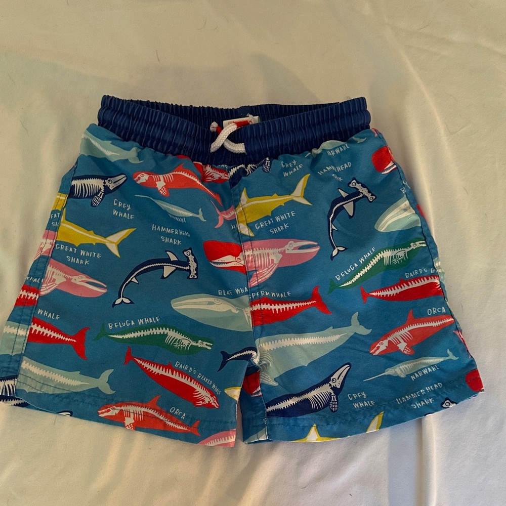 Mini Boden Colorful Shark Print Kids Shorts